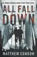 Audiobook All Fall Down author Matthew Condon