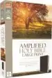 Audiobook Amplified Holy Bible, Large Print, Bonded Leather, Burgundy: Captures the Full Meaning Behind the Original Greek and Hebrew author Zondervan