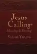 Audiobook Jesus Calling Morning and Evening Devotional author Sarah Young