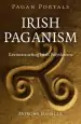 Audiobook Irish Paganism: Reconstructing Irish Polytheism author Morgan Daimler