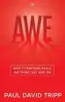 Audiobook Awe: Why it Matters in all we Think, say and do author Paul David Tripp