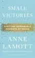 Audiobook Small Victories: Spotting Improbable Moments of Grace author Anne Lamott