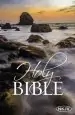 Audiobook The Nkjv, Holy Bible, Larger Print, Paperback author Thomas Nelson