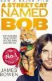 Audiobook A Street cat Named bob: How one man and his cat Found Hope on the Streets author James Bowen