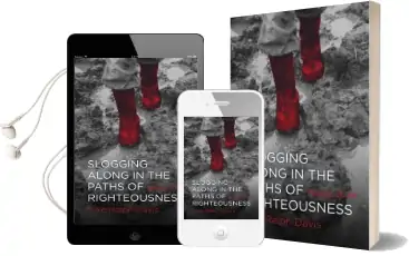 Slogging Along in the Paths of Righteousness: Psalms 13-24 Audiobook download free by Dale Ralph Davis