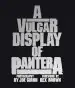 Audiobook A Vulgar Display of Pantera author Rex Brown