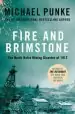 Audiobook Fire and Brimstone: The North Butte Mining Disaster of 1917 author Michael Punke