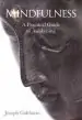 Audiobook Mindfulness: A Practical Guide to Awakening author Joseph Goldstein