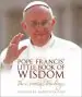 Audiobook Pope Francis' Little Book of Wisdom author Andrea Kirk Assaf