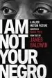 Audiobook I am not Your Negro: A Companion Edition to the Documentary Film Directed by Raoul Peck author James Baldwin