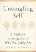 Audiobook Untangling Self: A Buddhist Investigation of who we Really are author Andrew Olendzki