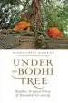 Audiobook Under the Bodhi Tree: Buddha'S Original Vision of Dependent Co-Arising author Ajahn Buddhadasa Bhikkhu