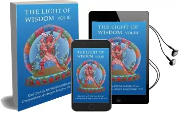 Light of Wisdom, Volume iii: Teachings on the Secret Empowerment Audiobook download free by Padmasambhava