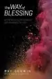 Audiobook The way of Blessing: Stepping Into the Mission and Presence of god author Dave Roberts