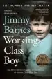 Audiobook Working Class boy author Jimmy Barnes