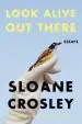 Audiobook Look Alive out There: Essays author Sloane Crosley