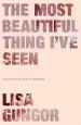 Audiobook The Most Beautiful Thing I'Ve Seen: Opening Your Eyes to Wonder author Lisa Gungor